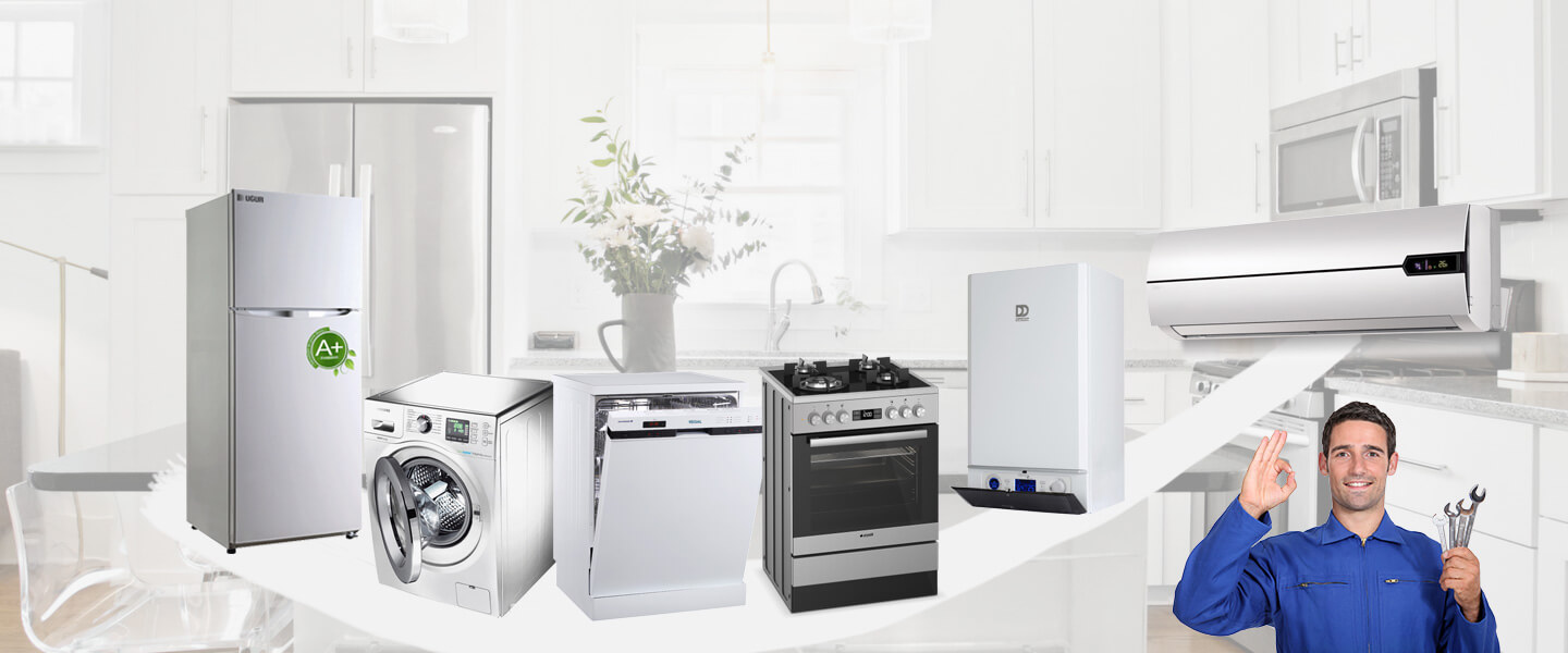 Derebucak Electrolux Servisi